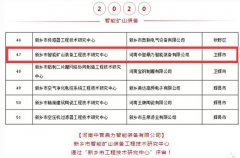 捷報(bào)連連 | 中譽(yù)鼎力再獲兩項(xiàng)技術(shù)類榮譽(yù)！